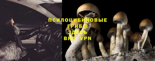 гашик Алексеевка