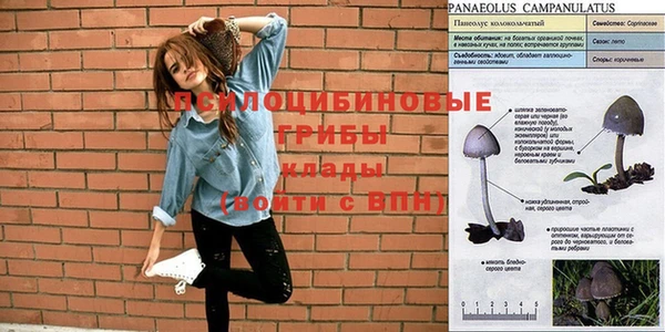прущие крисы Алзамай