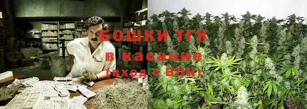 гашик Алексеевка