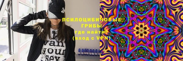 гашик Алексеевка