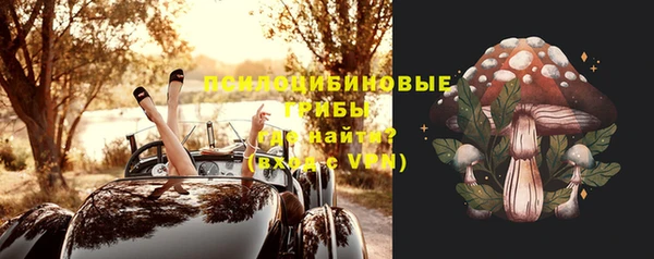 гашик Алексеевка