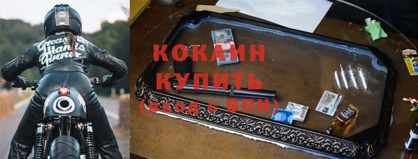 прущие крисы Алзамай