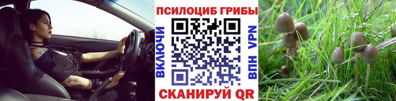 как найти   дарк нет какой сайт  Псилоцибиновые грибы мицелий  Тейково 