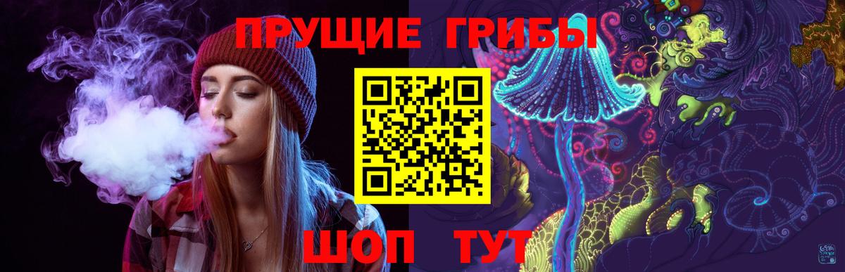 Псилоцибиновые грибы Psilocybine cubensis Тейково